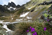 Anello Laghi di Ponteranica-Monte Avaro dai Piani il 10 giugno 2018 - FOTOGALLERY